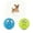 2 colors A, variant on 2 Pack 2.8" Smiley Face Squeaky Dog Toys Soft Dog Balls Latex Rubber Squeak Dog Toys for Small Medium Puppy Pet Dogs (Emoji)