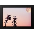thumbnail image 2 of Larson, Nathan 18x13 Black Modern Framed Museum Art Print Titled - Moon Desert, 2 of 5