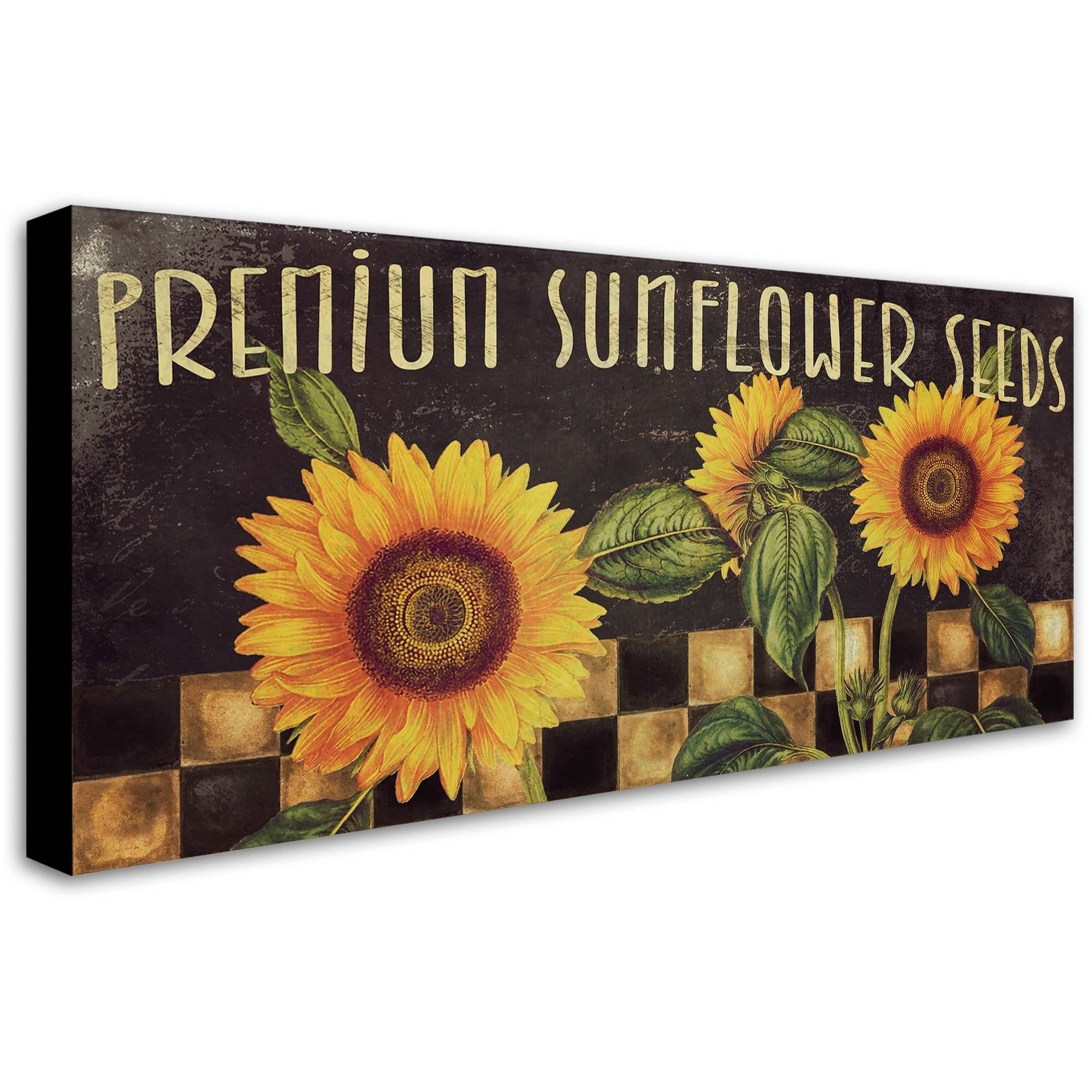 Trademark Fine Art "Sunflowers" Canvas Art by Color Bakery