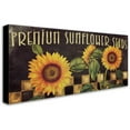 thumbnail image 2 of Trademark Fine Art "Sunflowers" Canvas Art by Color Bakery, 2 of 3