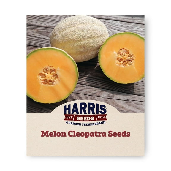 Harris Seeds - Treated Melon Cleopatra F1 Seeds - Fast Germination - 250 Seeds
