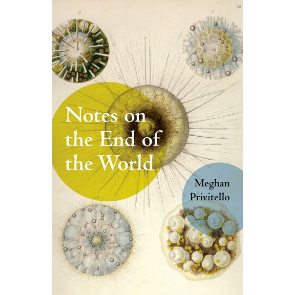 Pre-Owned Notes on the End of the World (Paperback) 1625579624 9781625579621