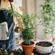 thumbnail image 2 of Enrejado de jardín de 4/6 Uds. enrejado de plantas decorativas a prueba de herrumbre para verduras trepadoras Hugtrwg Para estrenar, 2 of 9