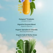 Snap Supplements Organic Spirulina and Gut Health Bundle - Superfood, Phytonutrients, Trace Minerals + Probiotic for Digestive and Gut Health