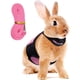 thumbnail image 1 of Arnés de conejo ajustable, arnés de correa de conejo suave, arnés de malla para conejito, chaleco para hámster con correa elástica para animales pequeños, conejos, hámsteres, gatos caminando (XL, rosa) ER, 1 of 5