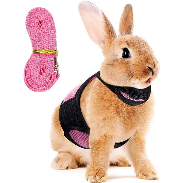 Arnés de conejo ajustable, arnés de correa de conejo suave, arnés de malla para conejito, chaleco para hámster con correa elástica para animales pequeños, conejos, hámsteres, gatos caminando (XL, rosa) ER