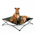 thumbnail image 2 of Coolaroo On the GoElevated Travel Dog Bed, King, Brunswick Green, 2 of 7