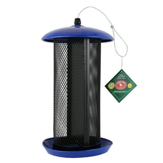 Squirrel proof bird feeder best sale tractor supply