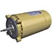 thumbnail image 3 of Hayward SPX1607Z1M Single Speed 1.5 HP Replacement Super Pump Motor, Gold, 3 of 3