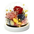 thumbnail image 1 of Decoración de flores eternas, rosa más cubierta de cristal de hortensia con luces, regalos navideños, regalos de cumpleaños para familiares y amigos, 1 of 5