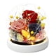 thumbnail image 1 of Decoración de flores eternas, rosa más cubierta de vidrio de hortensia con luces, regalos navideños, regalos de cumpleaños para familiares y amigos, 1 of 5