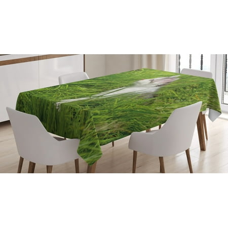 

Nature Tablecloth Cute Cat Watching a Butterfly on Grass Field Garden Inspirational Picture Rectangular Table Cover for Dining Room Kitchen 52 X 70 Inches Fern Green White Grey by Ambesonne