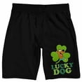 thumbnail image 4 of Scooby Doo Lucky Dog Men's Black Sleep Pajama Shorts-3XL, 4 of 7