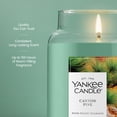 thumbnail image 3 of Yankee Candle Canyon Pine Original Large Jar Scented Candles, 22 oz, 3 of 6
