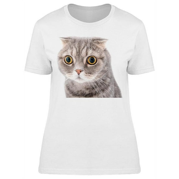 Suprised Cat With Wide Open Eyes T-Shirt Women -Image by Shutterstock Women T-Shirt, Female 3X-Large
