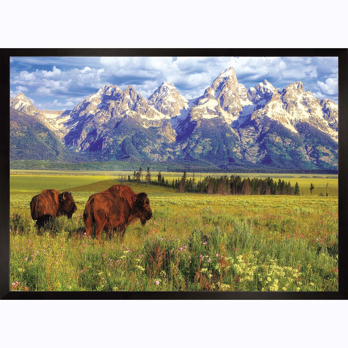 Grand Teton National Park 1000-Piece Puzzle - Walmart.com
