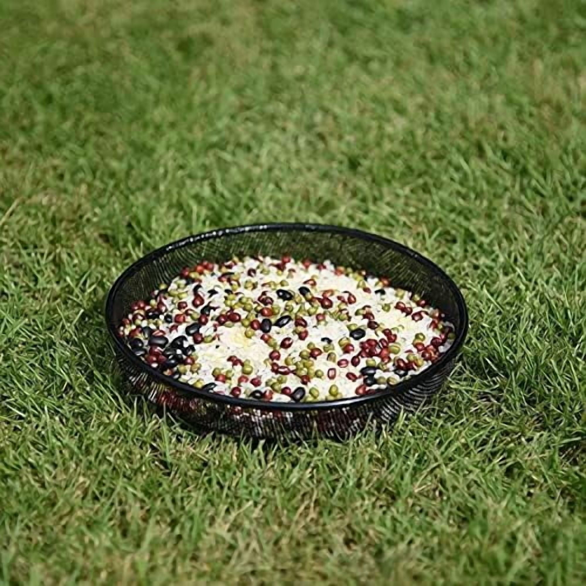 Hanging Bird Feeder, Birdfeeder Hanging for Garden Yard Outside, Hanging Birdfeeder Tray - Metal Mesh Platform Feeders for Birds Outside Outdoors Hanging for Attracting Birds - 3 Pack