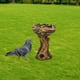 thumbnail image 5 of 2x Estable Decoración Pájaros Cuenco de Escultura Decorativa de Resina de piezaza para Jardín Ornamento Pájaros de, 5 of 8