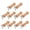 6, variant on 10pcs Portable Sturdy Wood Shaker Pegs Adhesive Hook for Towels Coat and Bags in Bathroom or Kitchen