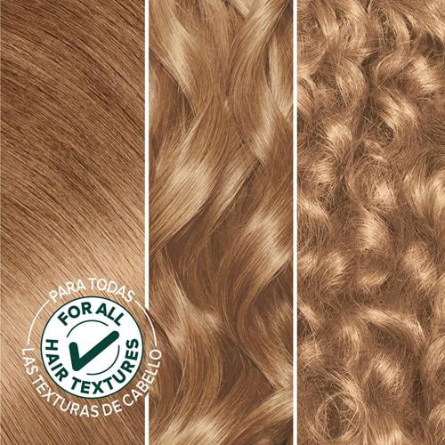 Garnier Nutrisse Nourishing Creme - 80 Medium Natural Blonde Butternut Hair Dye, 2 Count - Radiant Locks in a Box!
