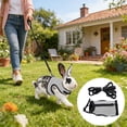 thumbnail image 1 of Rewenti Mesh Bunny Walking Set with Leash Breathable Bright and Attractive Color for Rabbits Weighing Approx 3Kg, 1 of 5