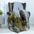 thumbnail image 4 of Idaho Soft Flannel Fleece Throw Blanket, American Bald Eagle on a Branch in Northern Gem State Photo, Cozy Plush for Indoor and Outdoor Use, 50" x 70", Army Green Ceil Blue, by Ambesonne, 4 of 5