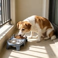 thumbnail image 4 of Byujiro Elevated Tilted Double Pet Bowls Neck-Friendly Cat & Dog Feeding/Watering Set with Non-Slip Stand, Anti-Tipping Design, Easy-Clean Bowls for Small Pets, 4 of 6