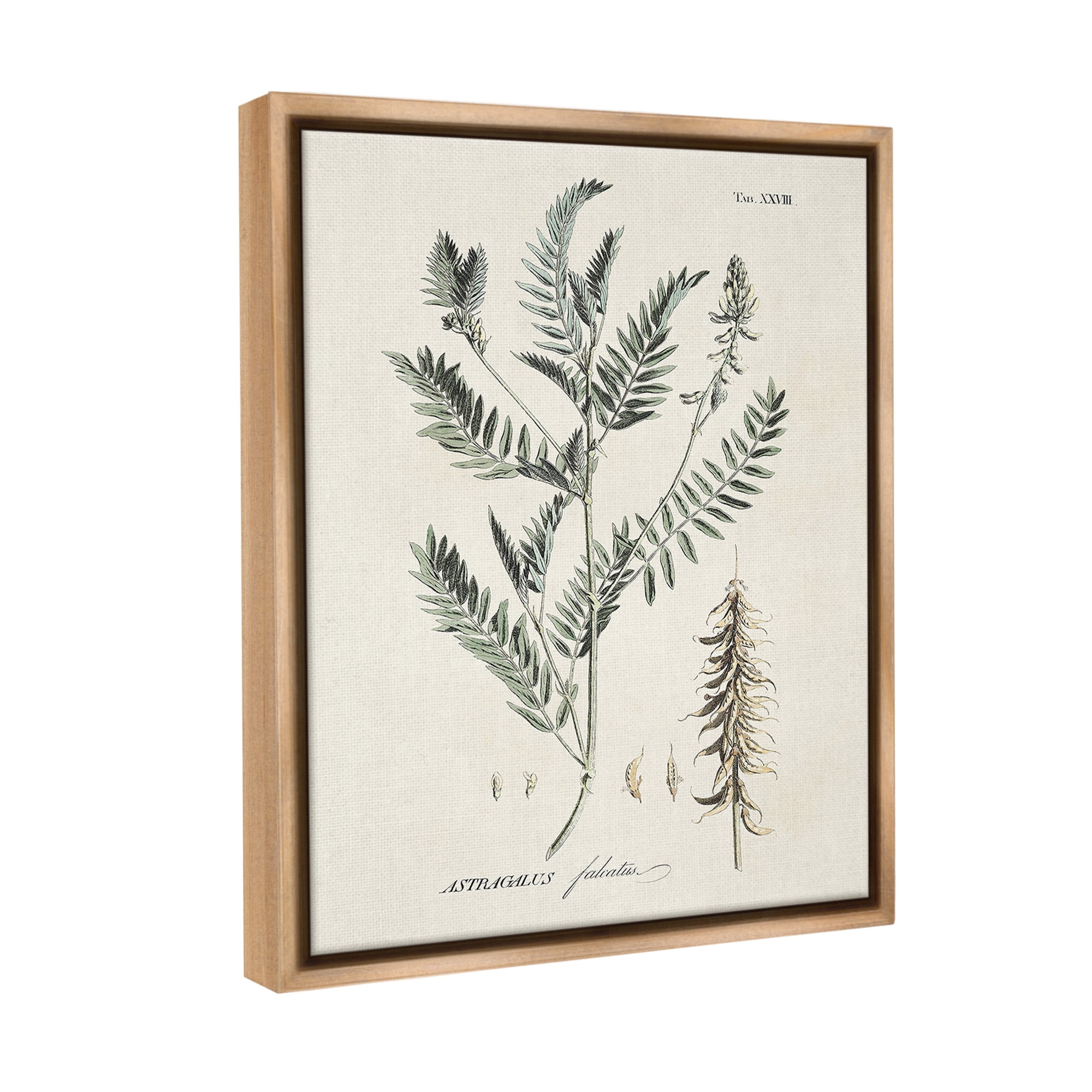 Stupell Industries Woodland Leaf Study Botanical & Floral Painting Brown Floater Framed Canvas Art Print Wall Art, 17 x 21