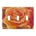 thumbnail image 2 of Beautiful Orange Rose Light Switch Plate Covers 2 Gang Wall Plate Plastics Outlet Covers for Kitchen Home Office Decor, 2 of 8