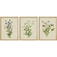 thumbnail image 2 of PixonSign Framed Canvas Print Wall Art Set - Vibrant Green Purple Wildflower Trio Poster Arts - Set of 3 Botanical Floral Colorful Wall Décor for Living Room, Bedroom, Office - 11"x14" Natural, 2 of 5