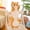 Orange, variant on Long Cat Pillow Plush 26 inch Gray Soft Cuddly Cat Body Pillow for Bed Sofa Decor