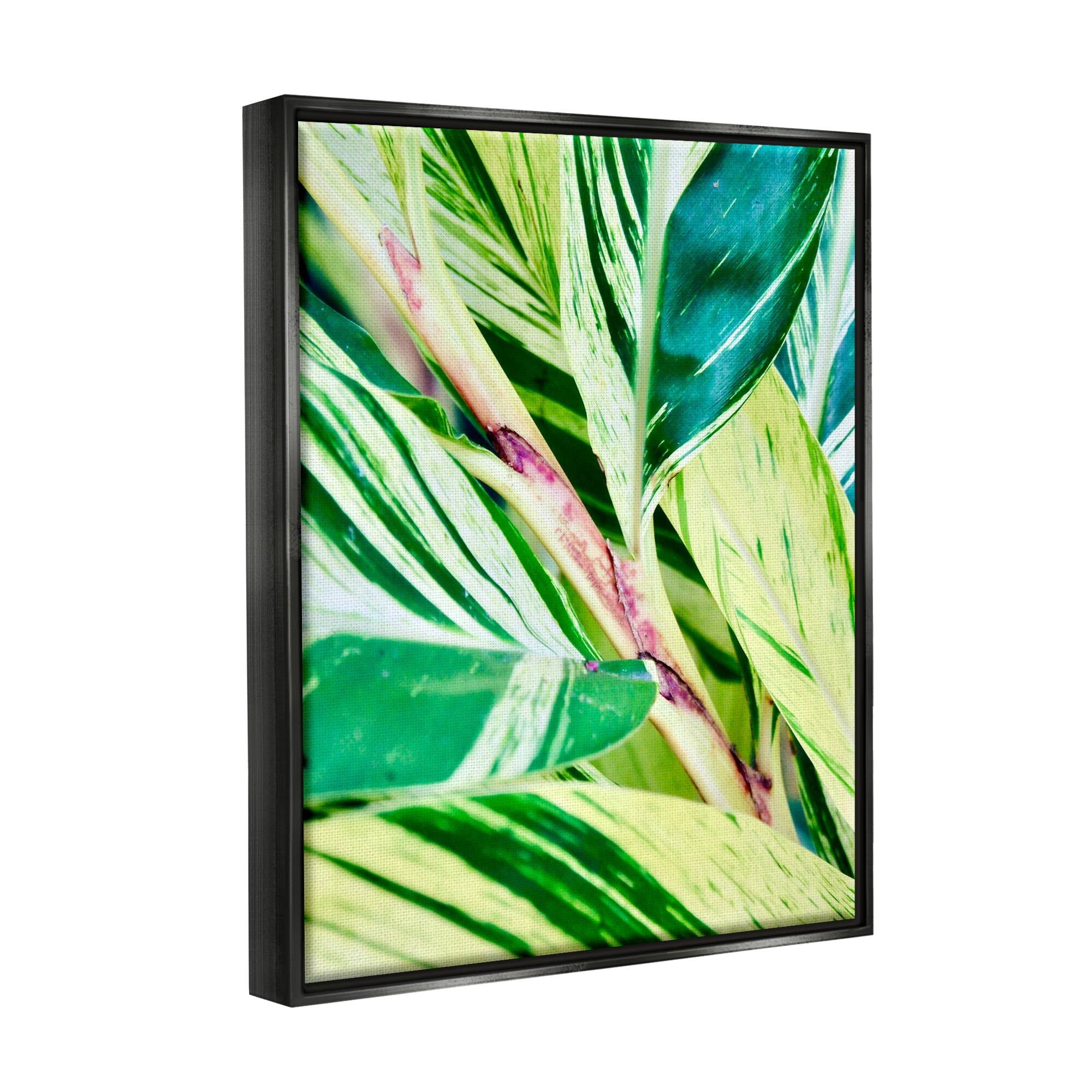 Stupell Industries Tropical House Plant Leaves Close Up Photography Photograph Metallic Gold Floating Framed Canvas Print Wall Art, Design by Gail Peck