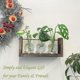 thumbnail image 4 of Terrario de plantas, estación de propagación de mesa Compatible con plantas hidropónicas con soporte de madera Compatible con regalos Hom, 4 of 5