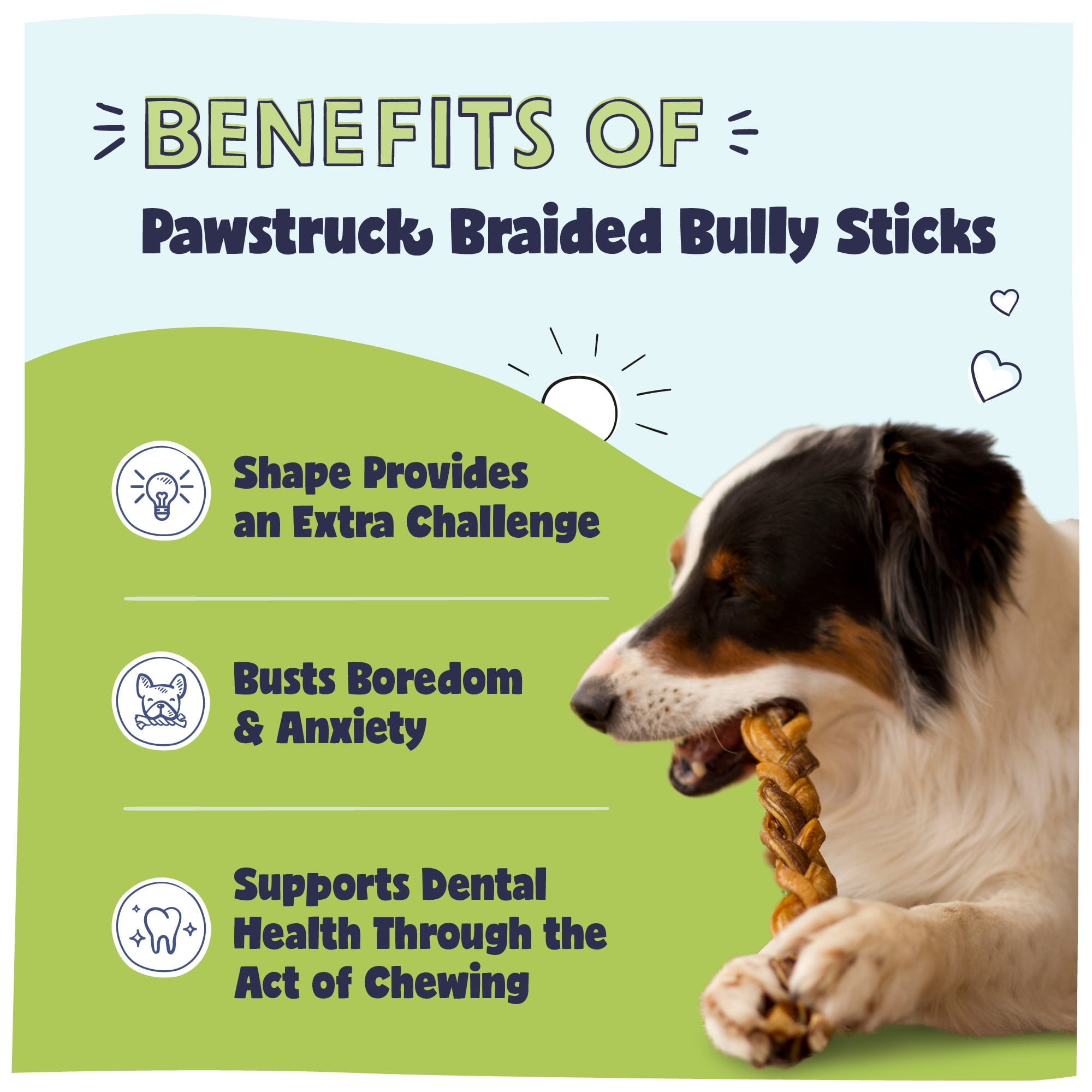 Pawstruck All Natural 12A A A A A A A A A A A A A A A A A A A A A A A A A A A A A A A A A A A A A A A A A A A A A A A A Braided Bully Sticks for Dogs Healthy Rawhide Free 10 Count Walmart
