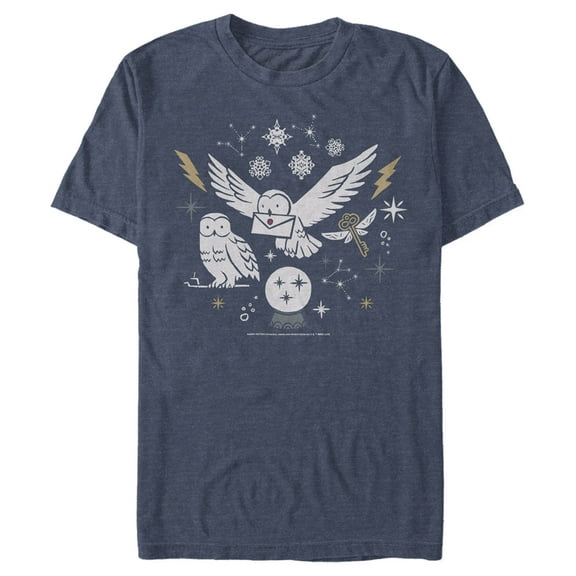 Men's Harry Potter Hedwig Winter Owl  Graphic Tee Navy Blue Heather Medium