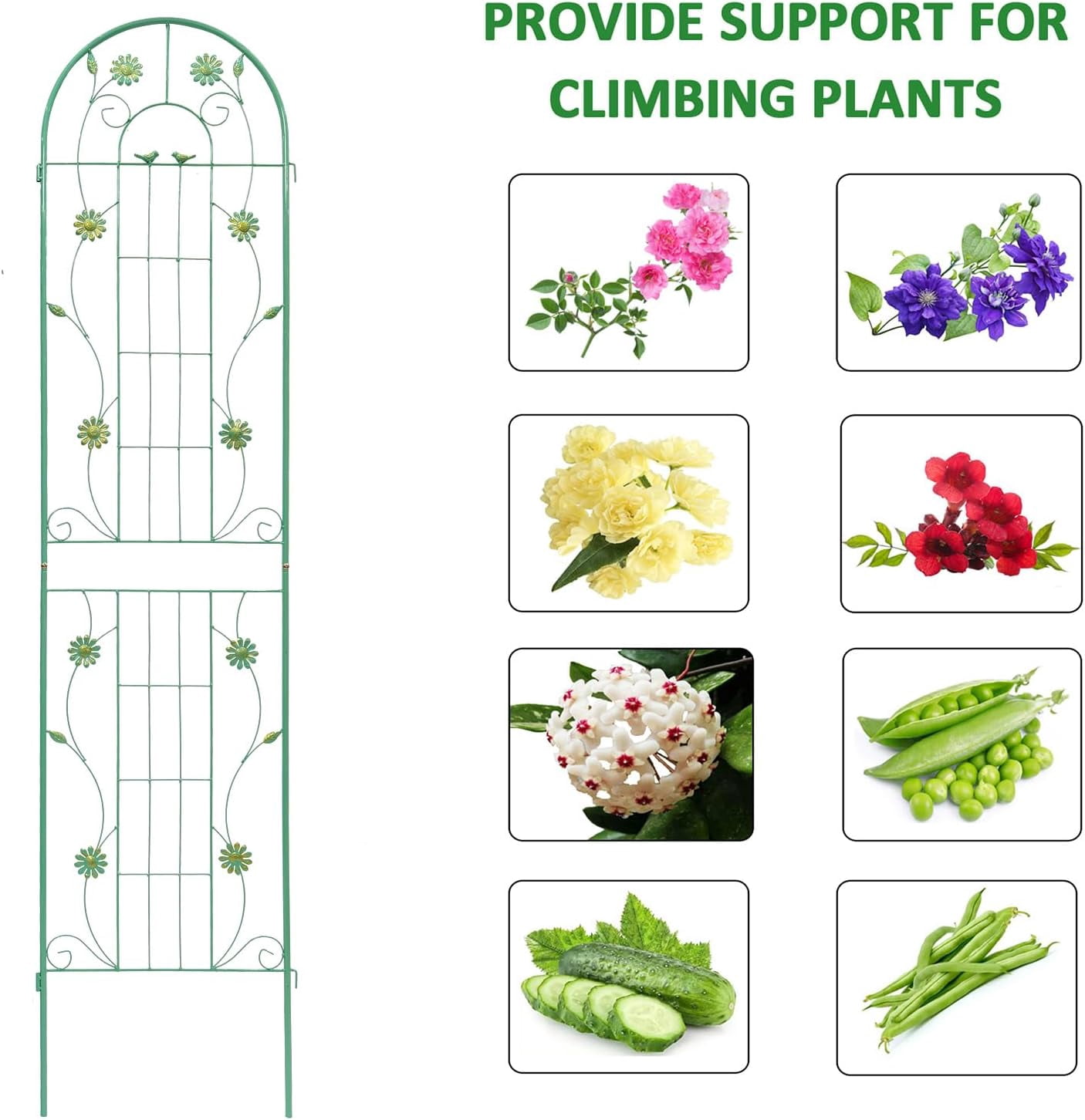 Miniyam 86.7" x 19.7" Metal Garden Trellis, 2 Packs Rustproof Trellis for Climbing Plants, Flower Support, Green