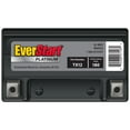 EverStart Premium AGM PowerSport Battery, Group Size TX12 12 Volt, 180