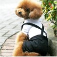 thumbnail image 3 of Qicheng Ropa para Perros Xl, Traje Elegante con Estilo Pajarita, Camisa De Esmoquin Formal con Traje De Corbata Negra (XL), 3 of 5