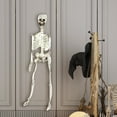 thumbnail image 4 of Life Size Skeleton, 27.5in Halloween Skeleton Poseable Skeleton Full Body Human Bones with Movable Joints for Indoor Outdoor Halloween Props Decorations Halloween Clearance, 4 of 4