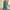 Sky Blue, variant on HOMBOM Army Green Women Jumpsuits and Rompers Elegant Sleeveless Rompers Round Neck Solid Color Jumpsuit Shorts 3XL