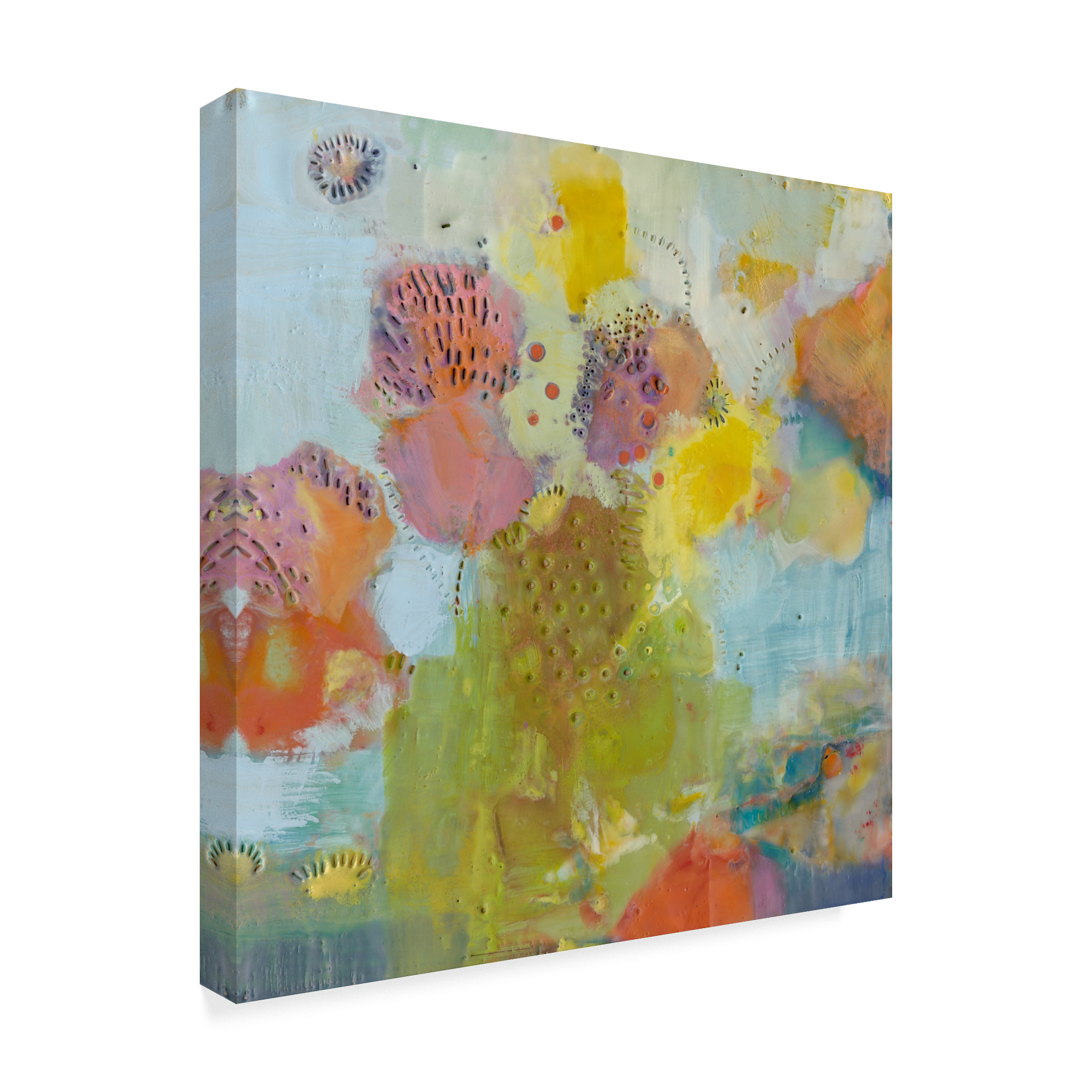 Trademark Fine Art 'Floare I' Canvas Art by Sue Jachimiec