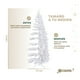 thumbnail image 5 of Árbol de Navidad Pino Canadiense Tipo Lápiz, Esquimal (Blanco Nacarado, 1.80 m), 5 of 6