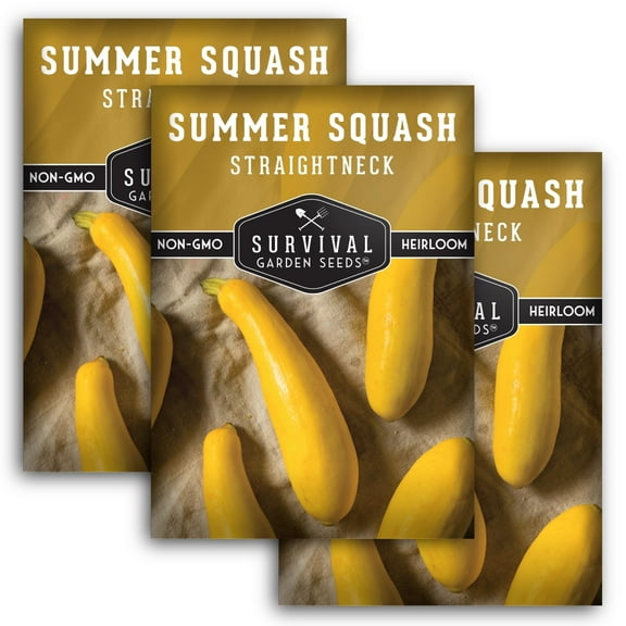 Straightneck Summer Squash Seeds - Non-GMO Heirloom Full Sun Annual Vegetable - 3 Packs