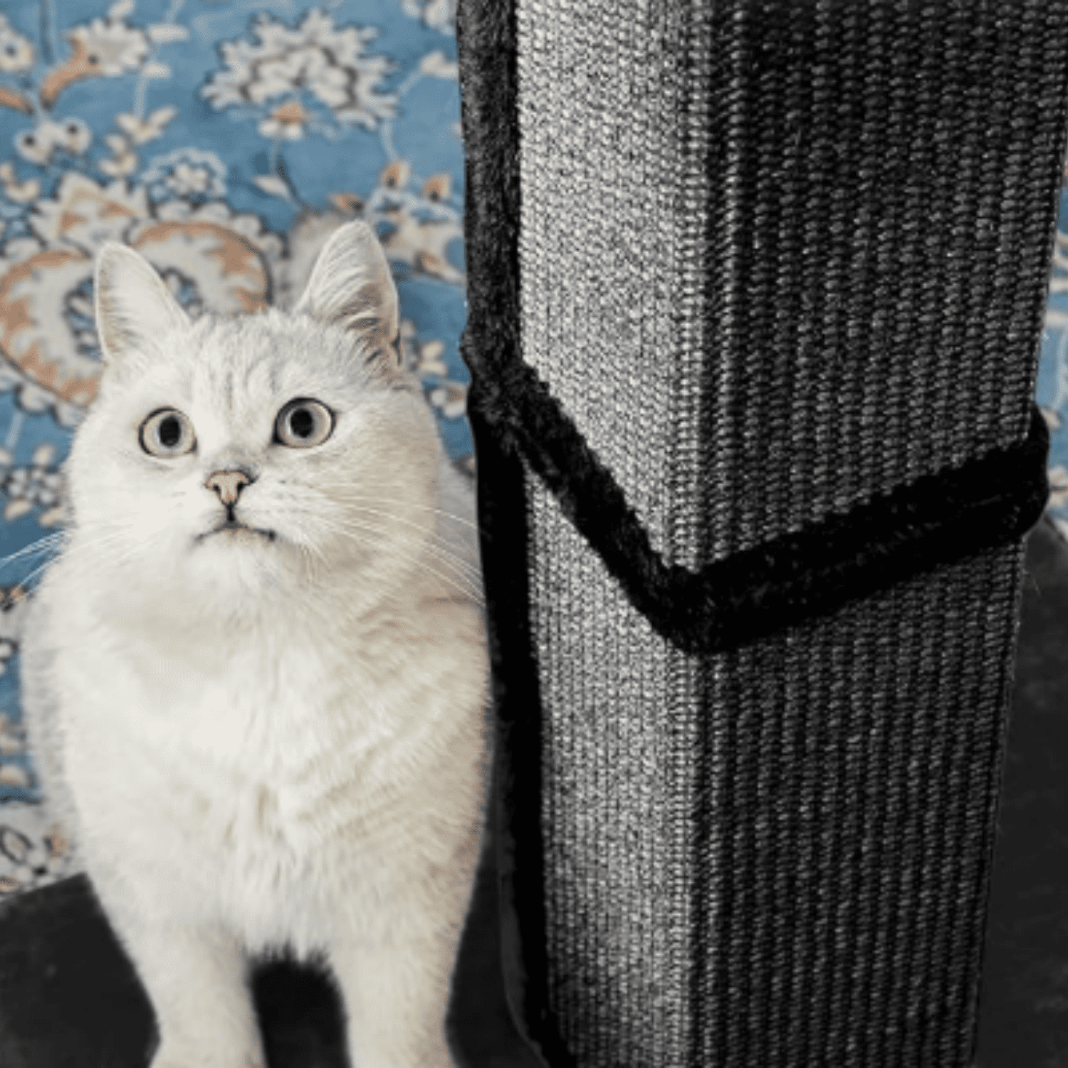32" Cat Scratching Post for Indoor Cats, Sisal Cat Scratcher with P Perch, Large Scratch Post with Bed, Removable Cover, Sisal Fabric,Black