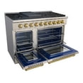 thumbnail image 3 of Akicon 48" Slide-in Freestanding Professional Style Gas Range with 6.7 Cu. Ft. Oven, 8 Burners, Convection Fan, Cast Iron Grates, & Blue Porcelain Oven Interior, In Stainless Steel with Gold, 3 of 6