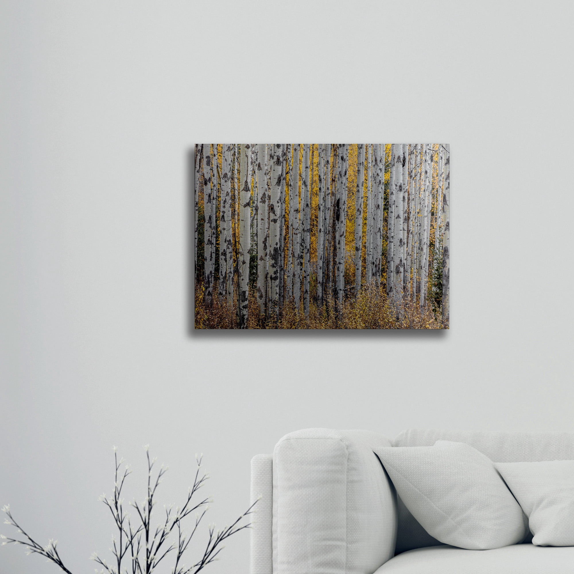 Trademark Fine Art 'Aspen Trees' Floating Brushed Aluminum Art by Pierre Leclerc