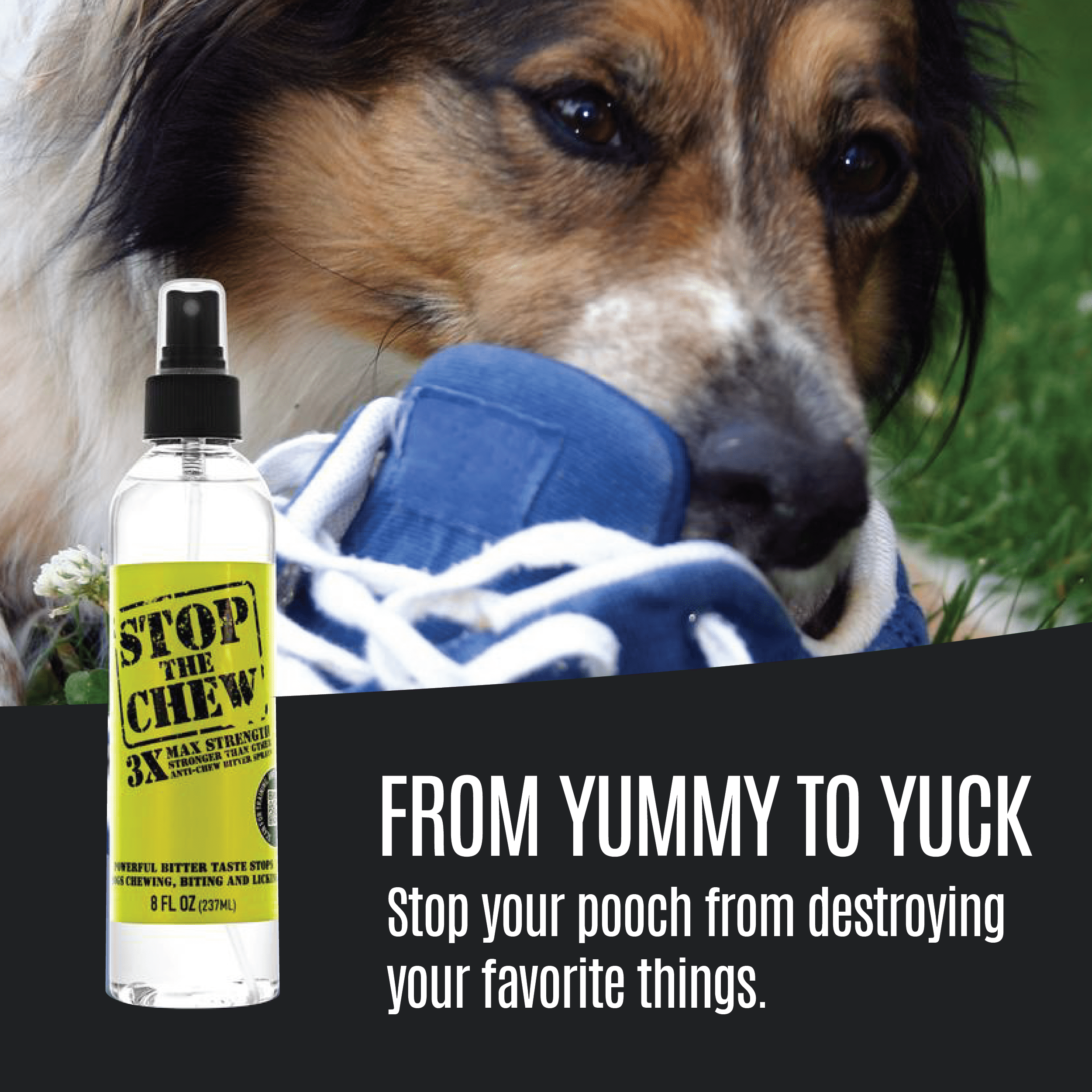 bitter bite for dogs