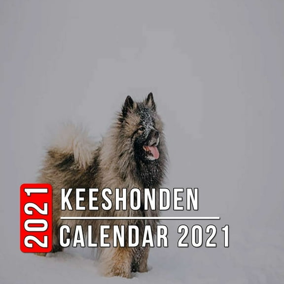 Keeshonden Calendar 2021 : 12-month mini Calendar from Jan 2021 to Dec 2021, Cute Gift Idea For Keeshonden Lovers Or Owners Men And Women - Pictures in Every Month (Paperback)