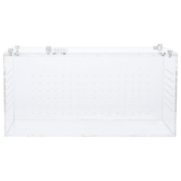 Cricket Box