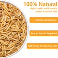 thumbnail image 2 of Gusanos de la harina liofilizados JADINGSFARM 180 ml, alto contenido de proteína, 100% naturales, 2 of 7